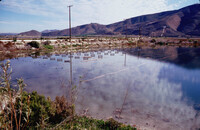 Pt. Mugu Wetlands thumbnail