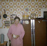 Kitchen at 3506 E. Balch Ave. thumbnail