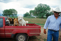 Colorado rural life 017 thumbnail