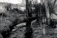 Gallegos farm, El Cerro Ditch 006 thumbnail