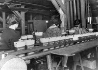 Country Club prunes. thumbnail