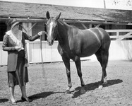 Woman with a horse thumbnail