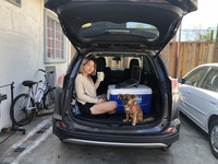 Shelley Lin COVID-19 Remote Work Photograph with Dog thumbnail