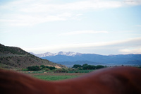Colorado scenery 014 thumbnail