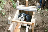 Kaber farm, Water control 013 thumbnail