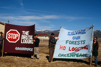 Logging protests 047 thumbnail