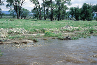 River and hay baling 003 thumbnail