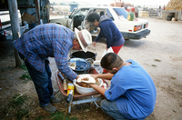 Kaber farm, Making chicharrones 067 thumbnail
