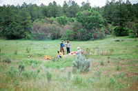 Torres ranch, Cattle drive 022 thumbnail