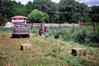 Anguallo farm, Illegal dumping and farm work 012 thumbnail