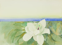 Magnolia and Horizon thumbnail