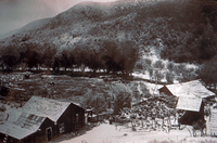 Raggio Ranch- San Francisquito Canyon thumbnail