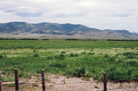 Coleman ranches 018 thumbnail