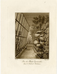 Interior of the garden greenhouse at Schönbrunn thumbnail
