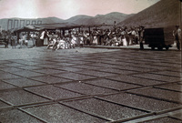 Apricot Pitting Shed and Drying Yard at the Faulkner Ranch thumbnail