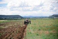 Kaber farm, Plowing 018 thumbnail