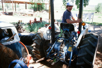 Montoya farm 005 thumbnail