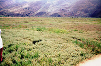 Pt. Mugu Wetlands thumbnail
