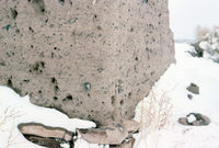 Rio Grande National Forest 033 thumbnail