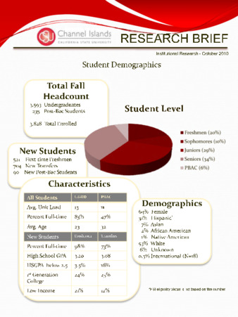 2010 Institutional Research Brief - Student Demographics2010 Institutional Research Brief - Student Demographics thumbnail