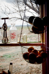 Gallegos farm, Building house fence 023 thumbnail
