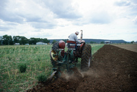 Kaber farm, Field burning and plowing 017 thumbnail
