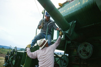 Kaber farm, Threshing oats and baling hay 009 thumbnail