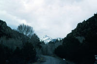 Rio Grande National Forest 001 thumbnail