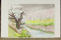 Thick Blossom Tree On Canal Bank thumbnail