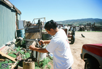 Kaber farm, Water control 012 thumbnail