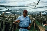 NAPI (Navajo Agricultural Products Industries) 055 thumbnail