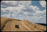 Hay bales and clouds thumbnail