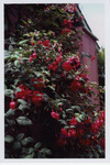 Gerber House and Garden - Family Home of Rudolf W. Gerber, M.D. and wife Catherine Gerber thumbnail