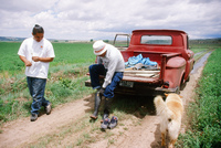 Kaber farm, Water control 082 thumbnail
