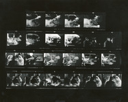 Irene Dalis wedding photographs thumbnail