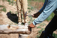 Gallegos farm, Root cellar construction 143 thumbnail