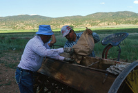 Kaber farm, Irrigating fields and mowing hay 004 thumbnail