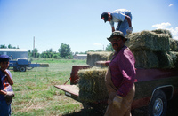 Montoya farm, Hay baling 006 thumbnail