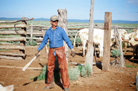 Torres ranch, Cattle drive 007 thumbnail
