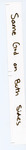 file details