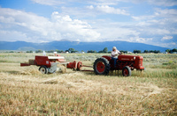 Kaber farm, Threshing oats and baling hay 034 thumbnail