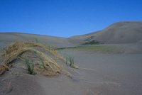 Sand dunes 010 thumbnail