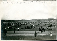 Labor Day in Golden Gate Park thumbnail
