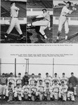 San Jose State College baseball team. thumbnail