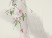 Santa Ana & Wishon thumbnail