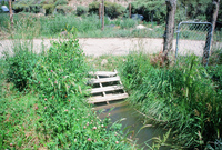 Kaber farm, Animals 012 thumbnail