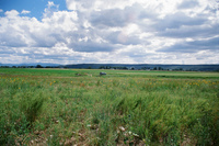 Kaber farm, Plowing 035 thumbnail