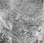 1950 ABI-22G-76 [Fresno County, California aerial survey, 1950] thumbnail