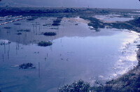 Pt. Mugu Wetlands thumbnail