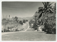 [Looking north down College Avenue] thumbnail